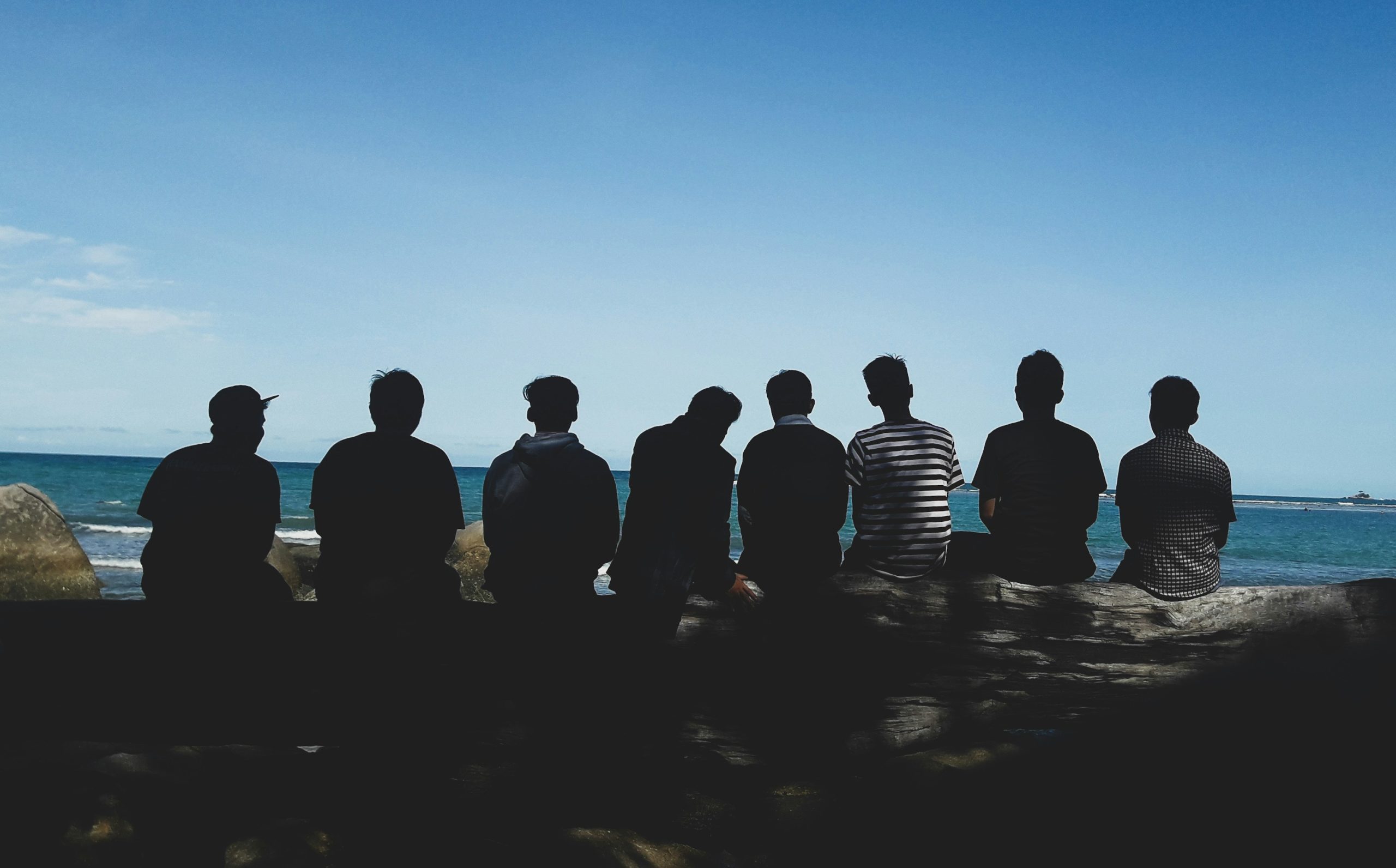 Members 1 Profiles: What to Include in Your Directory 📋